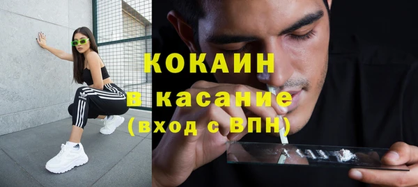 индика Армянск