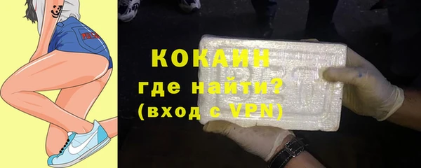 индика Армянск