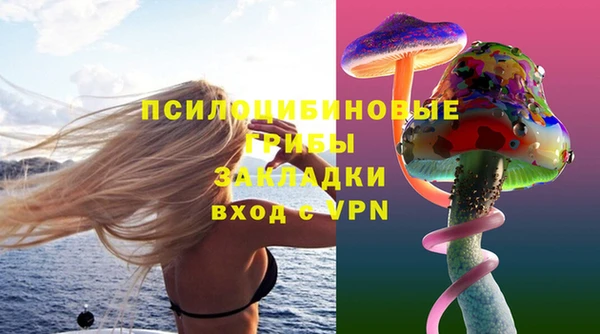 индика Армянск