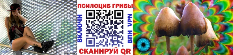 KRAKEN онион  Вилюйск  Галлюциногенные грибы GOLDEN TEACHER  наркошоп 